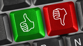 What Would Change If Politicians Wrote Laws Based on Internet Polls?